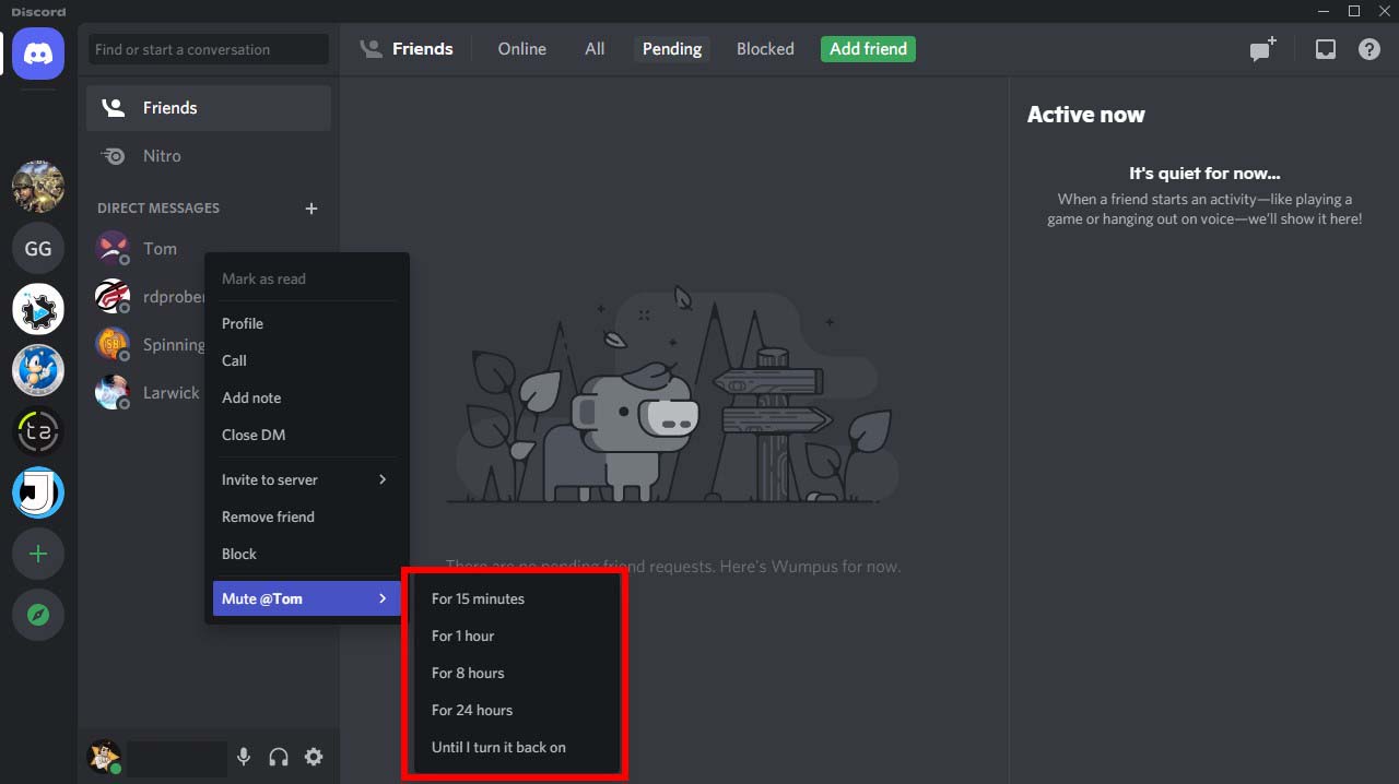 How to Mute Someone, Or Server On Discord