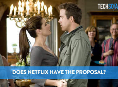 Does Netflix Have The Proposal?